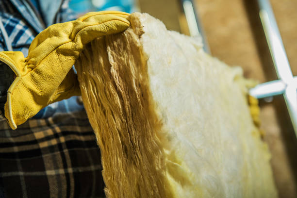 Insulation Replacement Services in Lake City, MN
