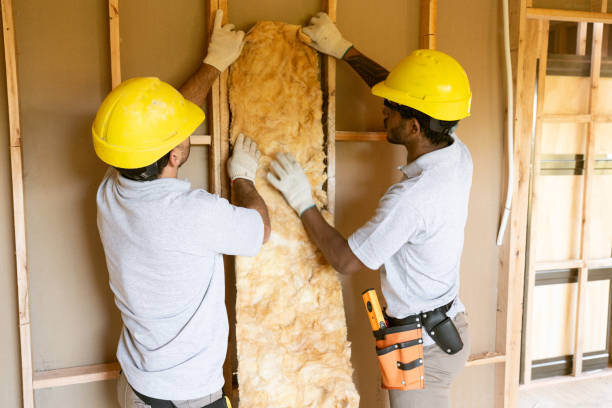 Best Attic Insulation Installation  in Lake City, MN