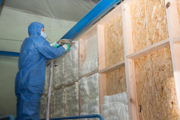 Best Insulation Repair Services  in Lake City, MN