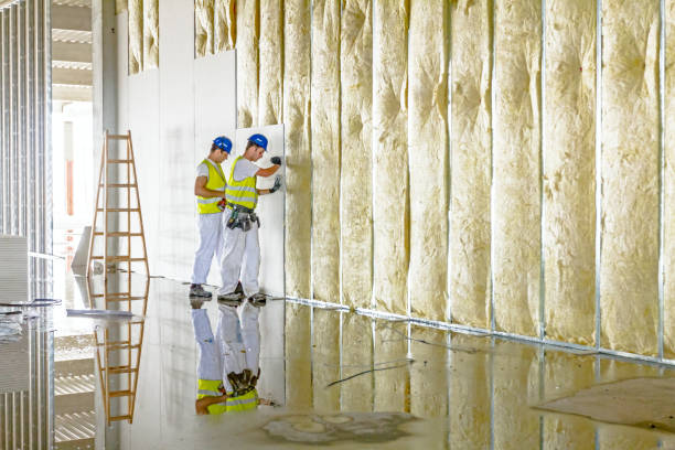 Best Spray Foam Insulation  in Lake City, MN